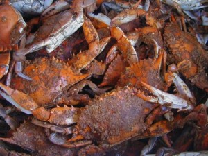 When It’s Ok To Be Crabby