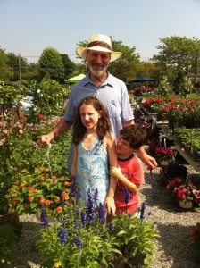 plantshop