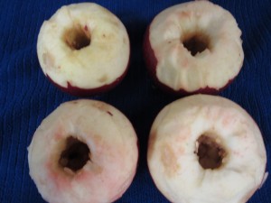 Slow Cooking: (Baked) Apples