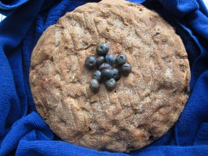 Blueberry Brunch Cake