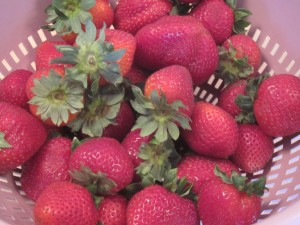 Patriotic Strawberries