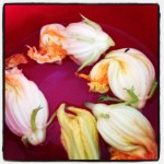 Stuffed Zucchini Blossoms with Herbed Ricotta