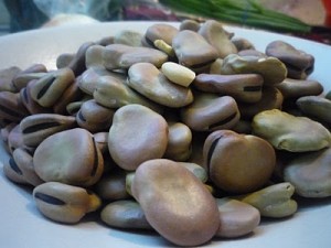 Fava Bean Pesto Soup