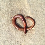 Worm Pretzel