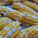 Grilled Corn with Tarragon Crème Fraîche