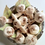 Meringue Mushrooms