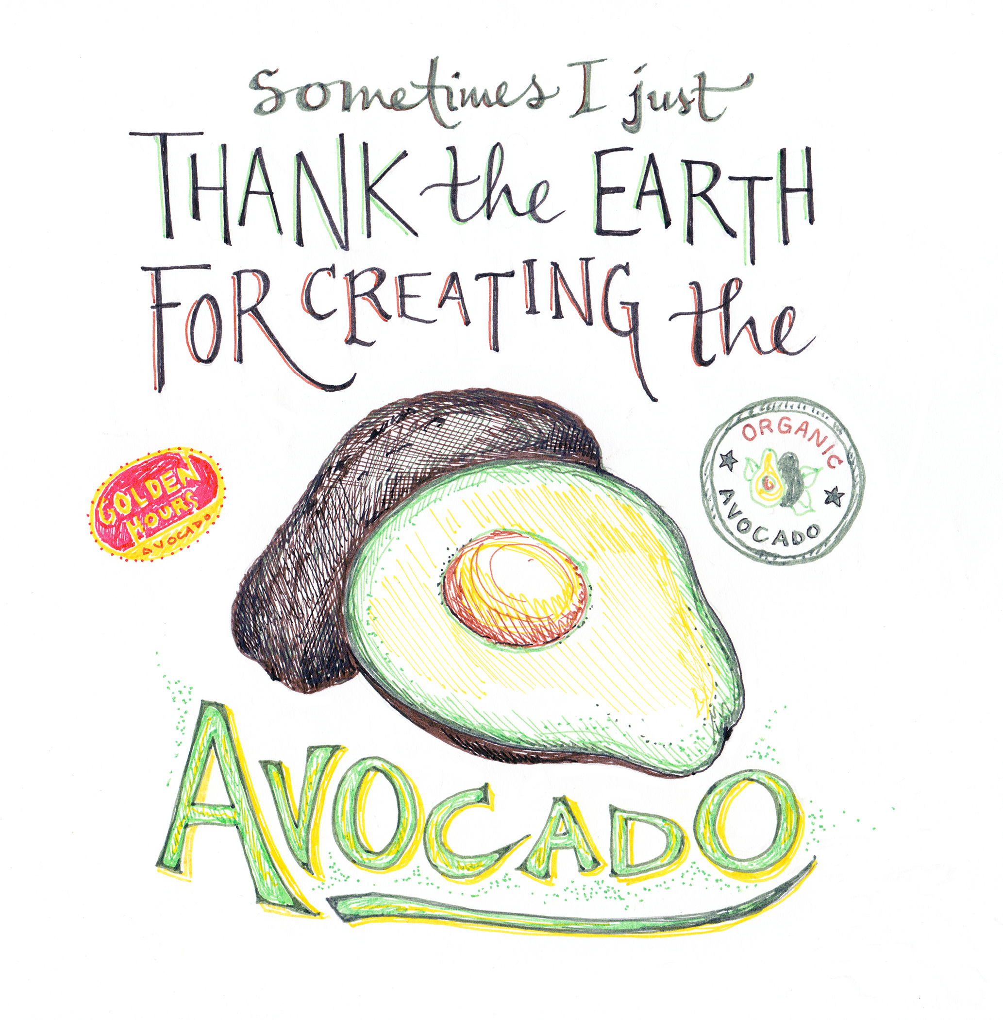avocado picture