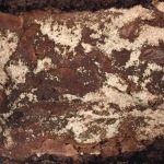 Chocolate Cinnamon Bread Loaf