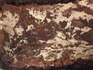 Chocolate Cinnamon Bread Loaf