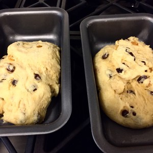 Raisin Bread for Beginners