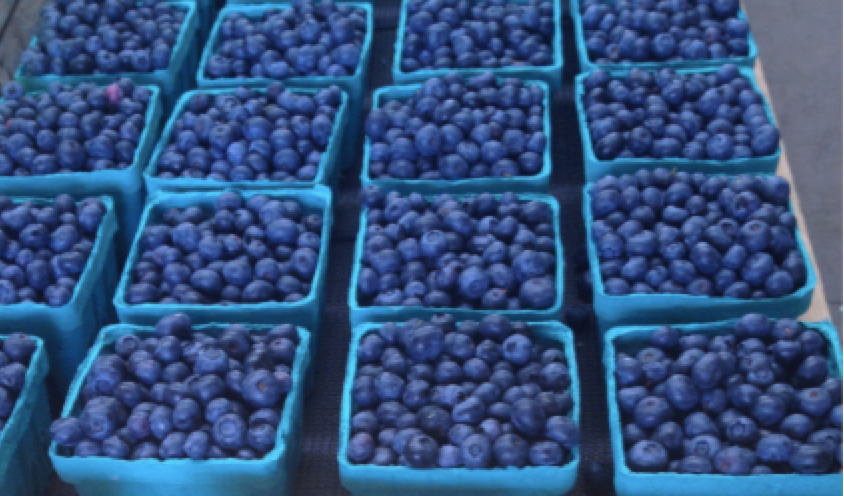 blueberries